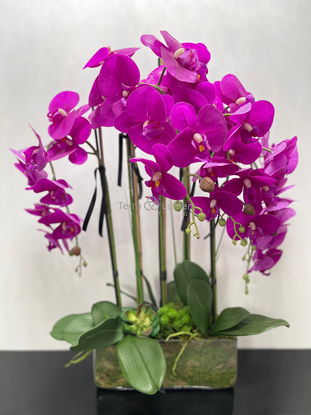 Pink Orchids in a Rectangular Vase