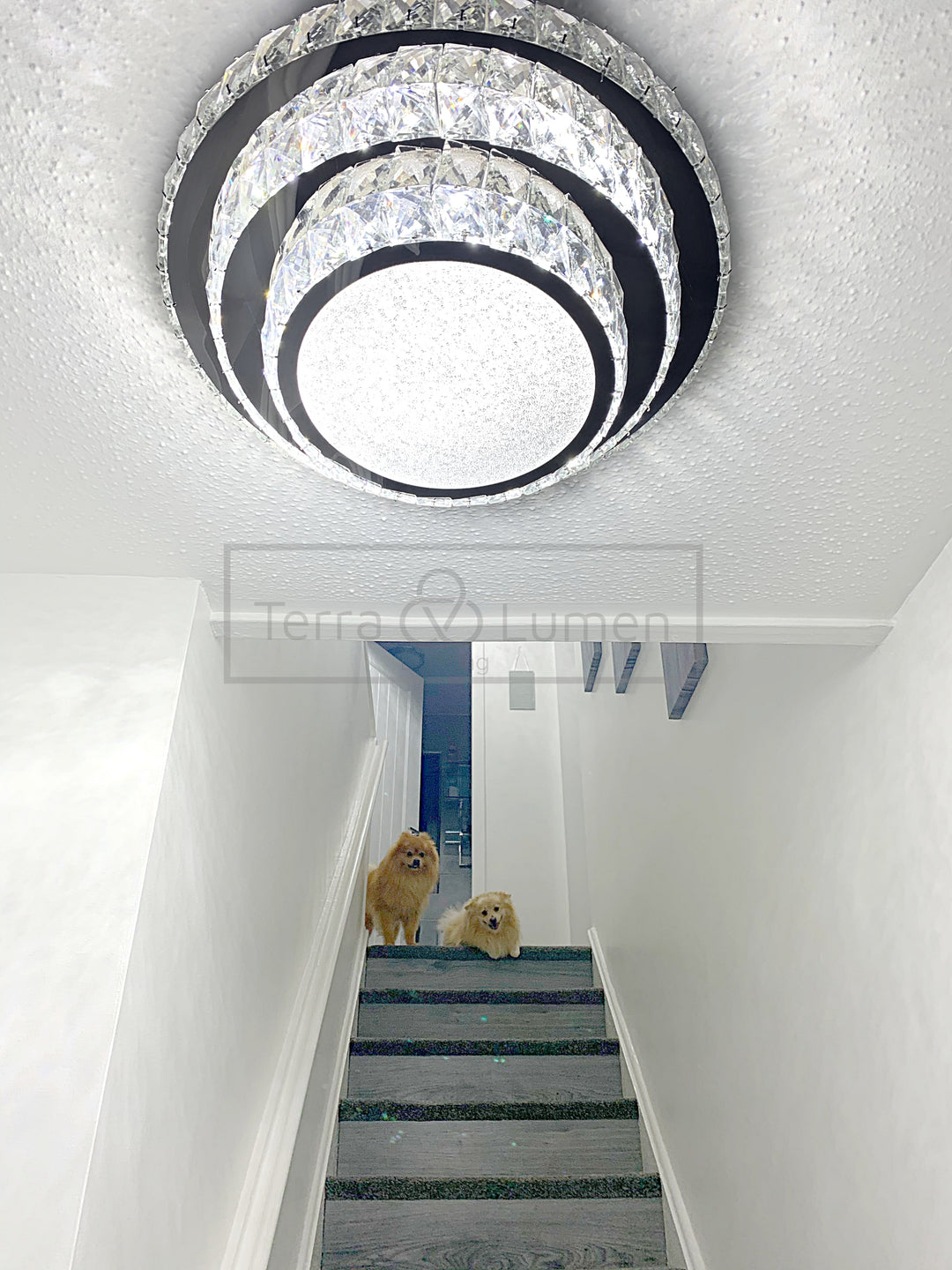 Timeless (Small) Flushed Ceiling Light