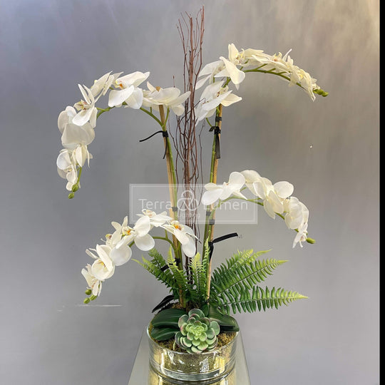 Orchid and Willow in a flat glass vase