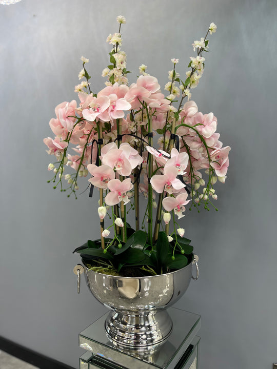 Tall Pink Orchids in Champagne Bowl