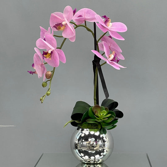 Pink orchid in a chrome bowl