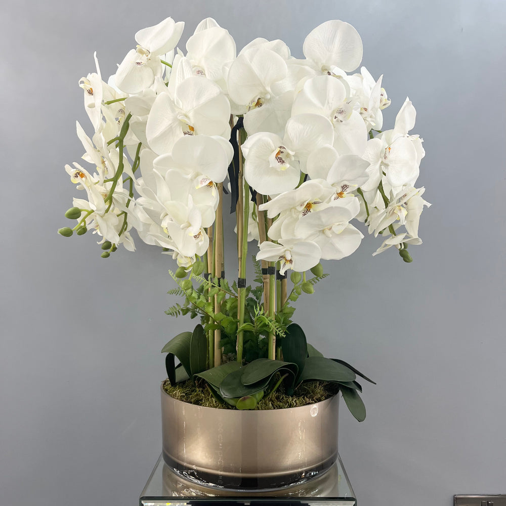 8 Stem Orchid in a gold vase