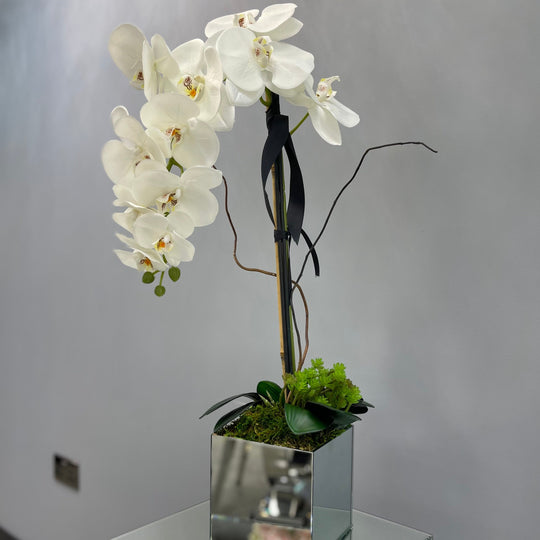 White Orchids in a Square Mirrores Vase