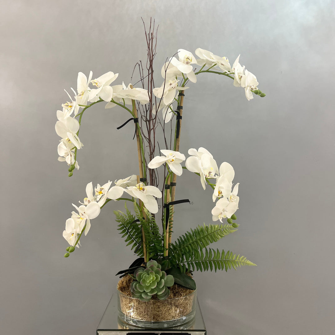Orchid and Willow in a flat glass vase
