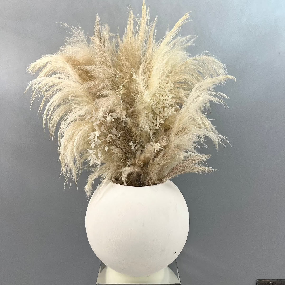Large Pampas grass in a white bowl