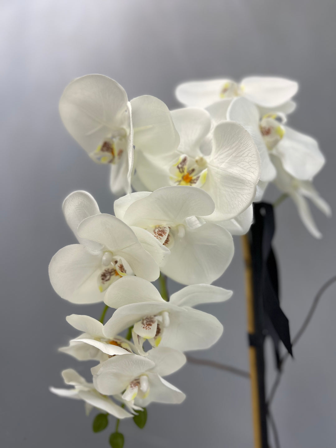 White Orchids in a Square Mirrores Vase
